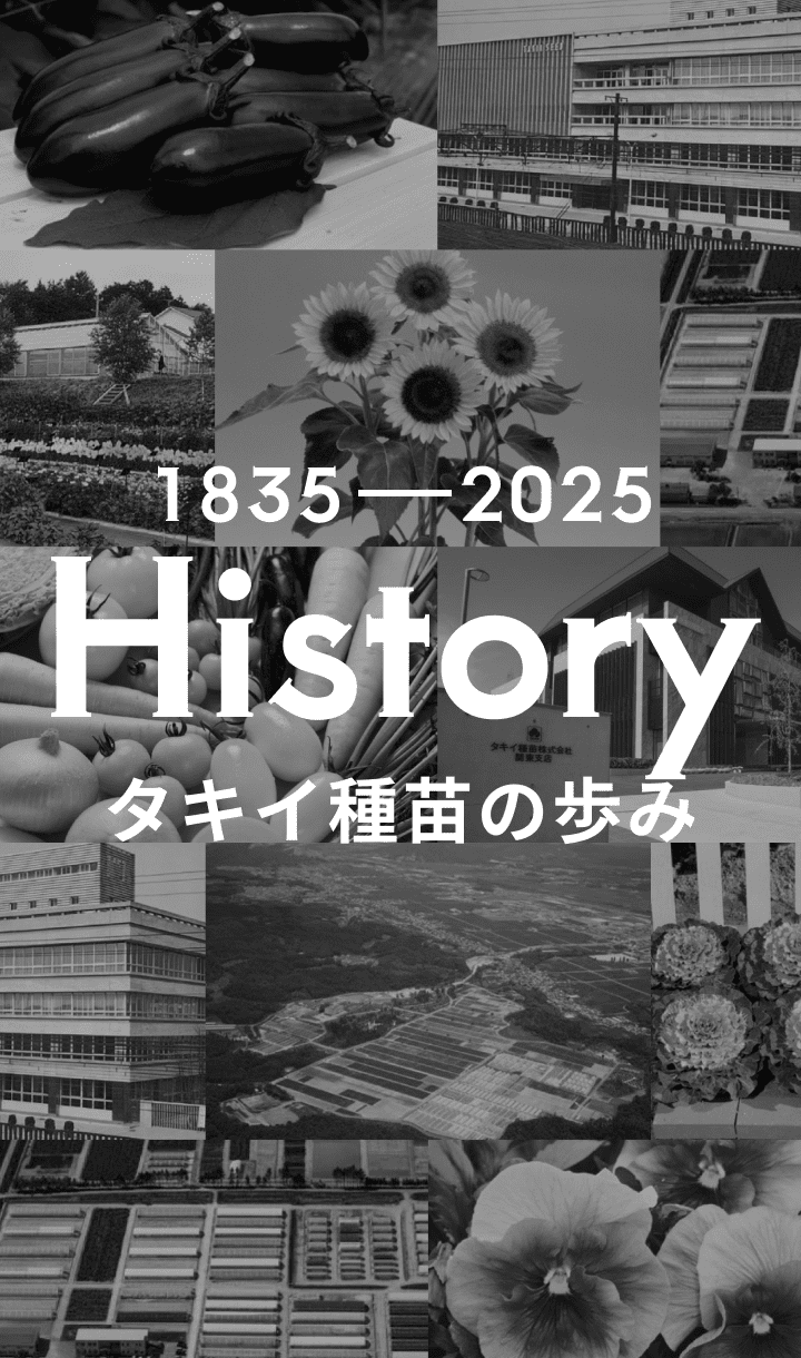 History
