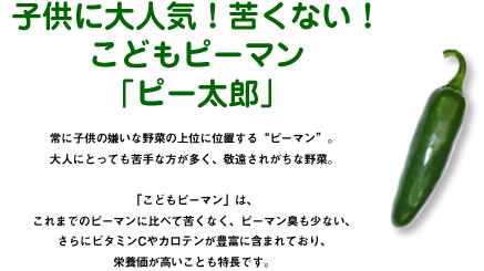 こどもピーマン タキイ種苗株式会社 こどもピーマン タキイ種苗株式会社