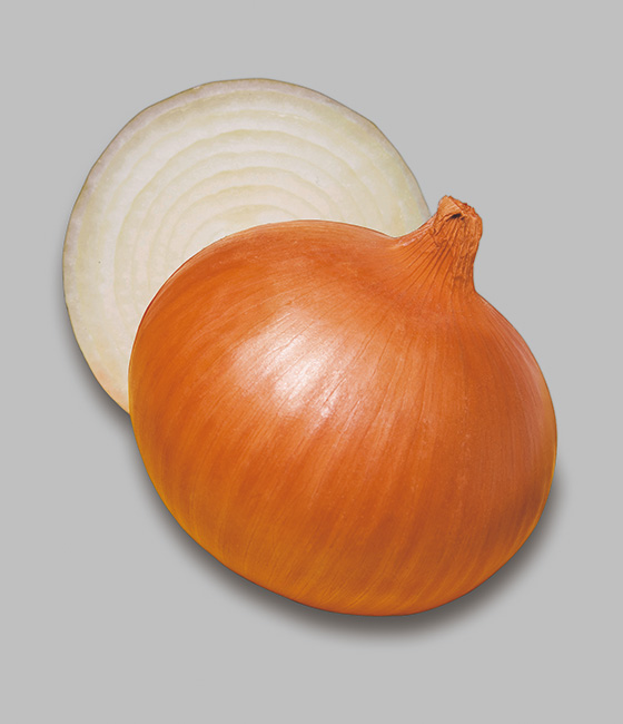 ケルたま タマネギ | 品種カタログ | タキイの野菜【タキイ種苗】