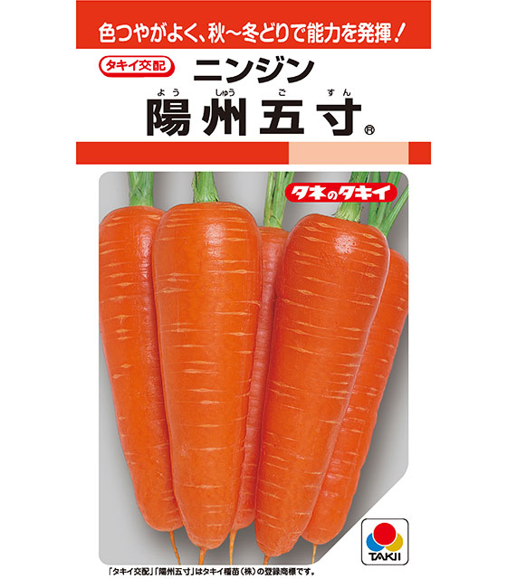タキイ種苗 ニンジン 人参 グランプリ    ペレット 小袋
