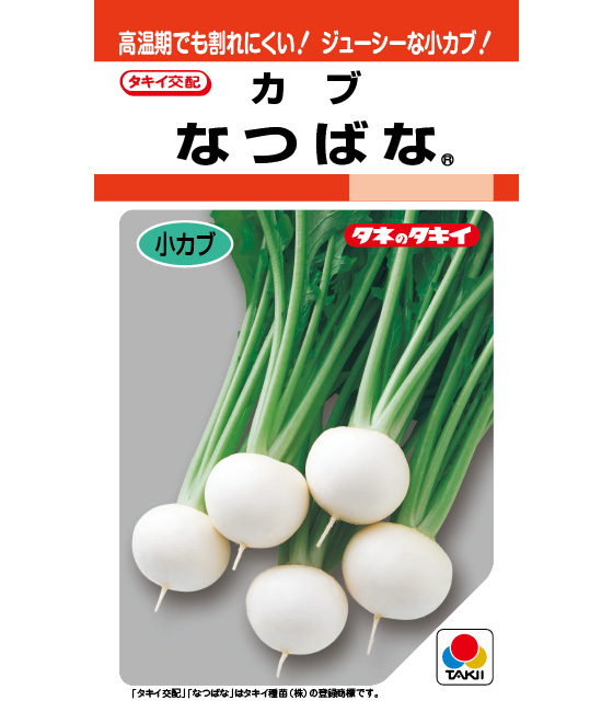 人気カラーの カブ なつばな ｜ タキイの野菜【タキイ種苗】 ｜ 品種カタログ 化粧下地