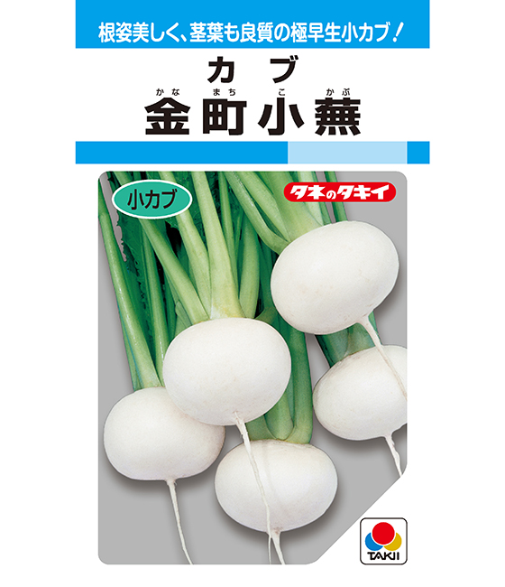 スケールモデル 新作 カブ 金町小蕪 ｜ タキイの野菜【タキイ種苗】 ｜ 品種カタログ 野菜