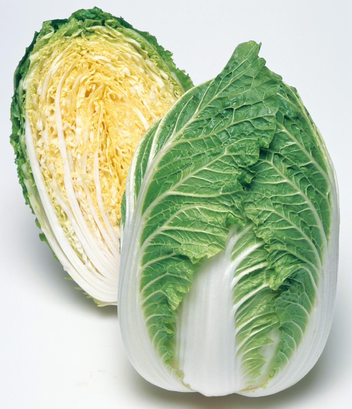 メーカー直売 - 人気ランキング きらぼし90 ハクサイ タキイの野菜【タキイ ｜ 品種カタログ ｜ その他