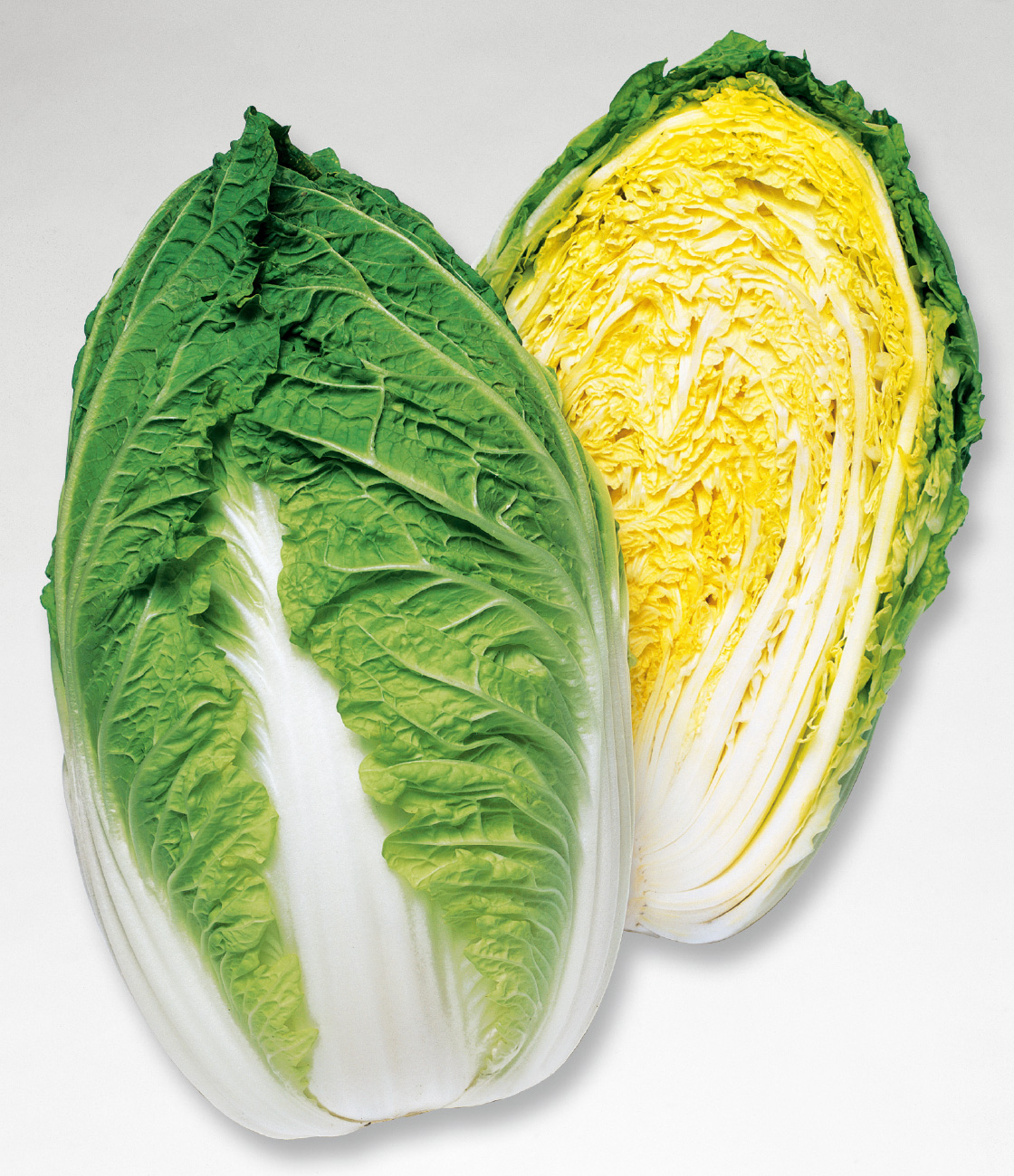 サイン・掲示用品 パネル 晴舞台65白菜 タキイ交配 ペレットL5千粒5センR 白菜 ハクサイ はくさい【タキイ 種 たね タネ】【【通常5倍  5のつく日はポイント10倍】】