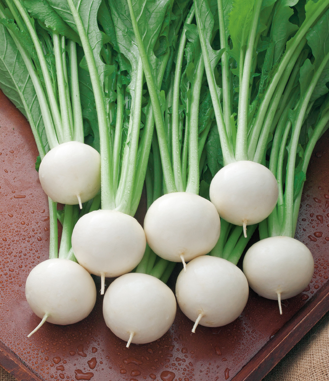 なつばな カブ ｜ 品種カタログ ｜ タキイの野菜【タキイ種苗】