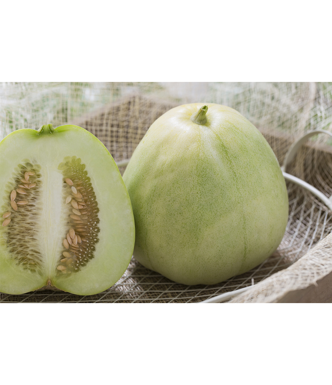 ニューメロン マクワ 品種カタログ タキイの野菜 タキイ種苗 ニューメロン マクワ 品種カタログ タキイの野菜 タキイ種苗