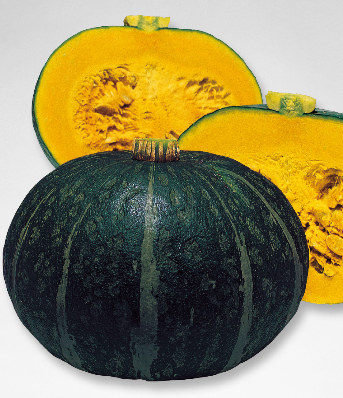 栗えびす カボチャ 品種カタログ タキイの野菜 タキイ種苗