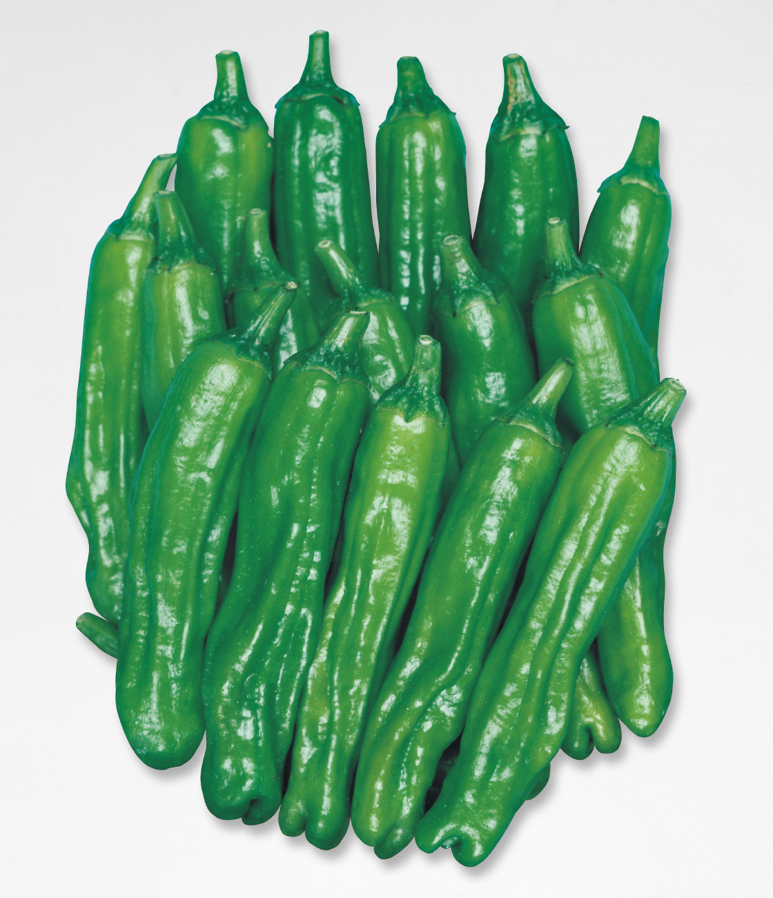 ししとう トウガラシ 品種カタログ タキイの野菜 タキイ種苗