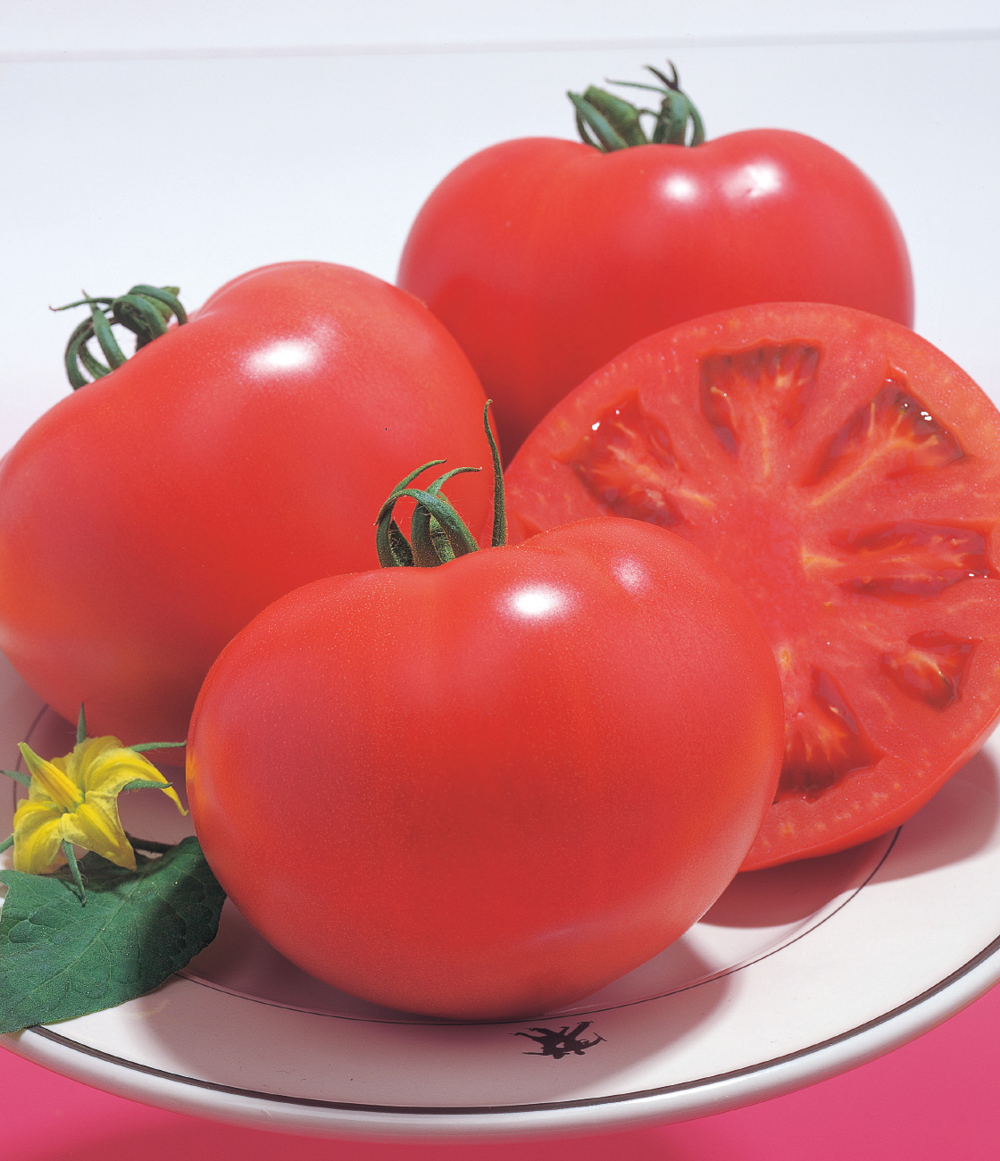 桃太郎8 トマト 品種カタログ ｜ タキイの野菜【タキイ種苗】
