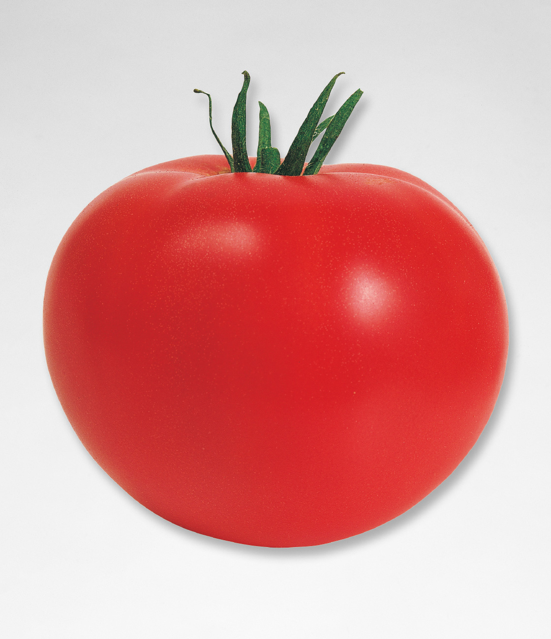家庭菜園 トマト 品種 – home.infotiket.com