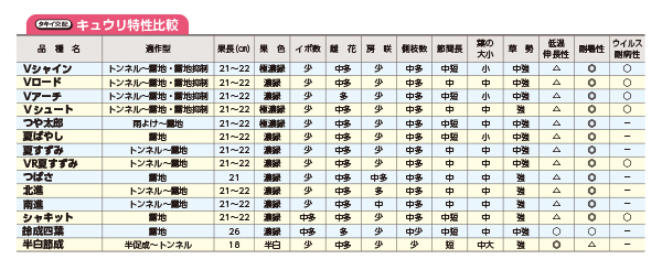 シャキット キュウリ ｜ 品種カタログ ｜ タキイの野菜【タキイ種苗】