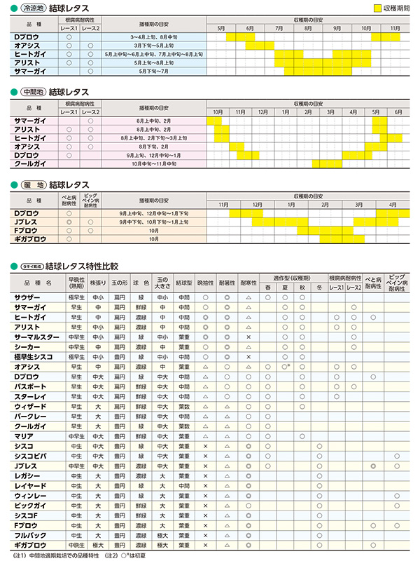 【たかさん】レタス（サウザー ）1缶、ブロッコリー（クリア）２缶 セール開催中】タキイ種苗のレタス サウザー【初夏～秋どりに