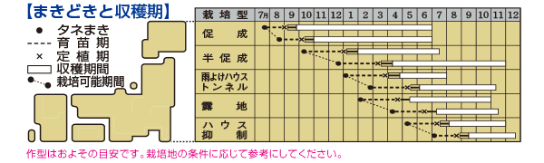 ししとう トウガラシ 品種カタログ タキイの野菜 タキイ種苗