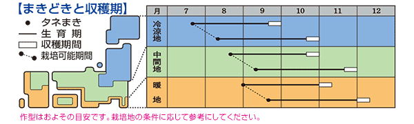 2022正規激安】 <br>新八州大根 2dl<br>