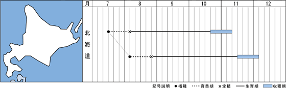 北海道