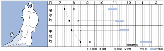 東北