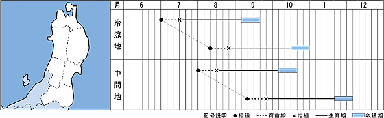 東北