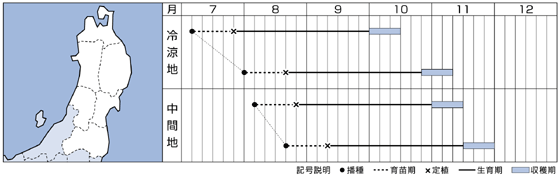 東北