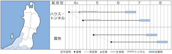 東北
