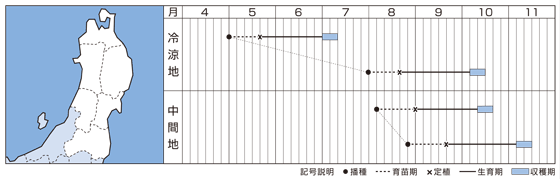 東北