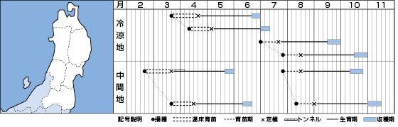 東北