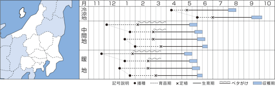 ֓