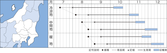 ֓