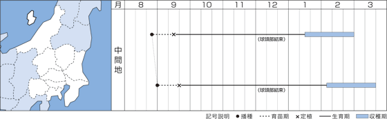 ֓