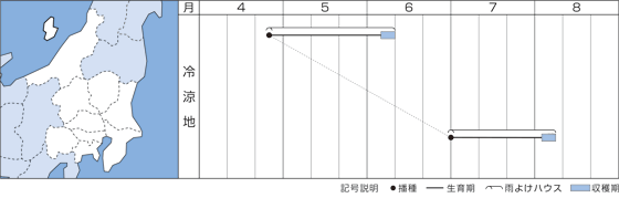֓