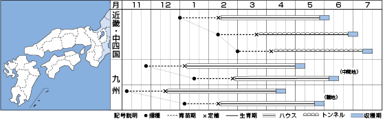 �����{�i�ߋE�j