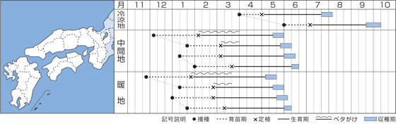 {iElj
