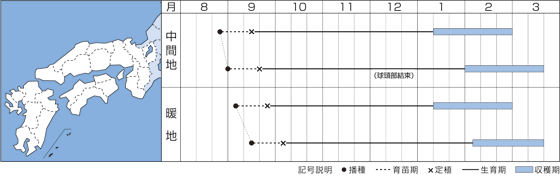 {iElj