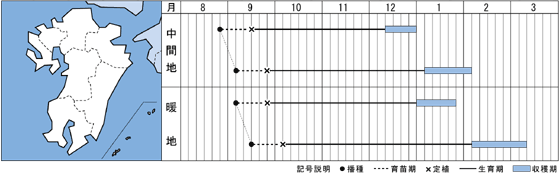 西日本（九州）