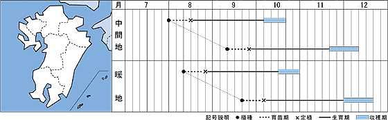 西日本（九州）