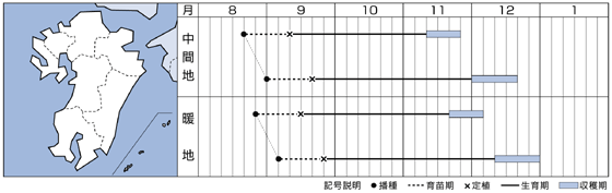 西日本（九州）