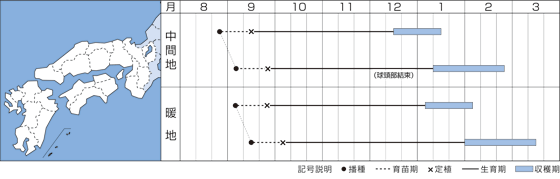 �����{�i��B�j