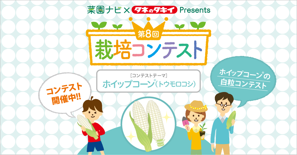 キャンペーン キャンペーン