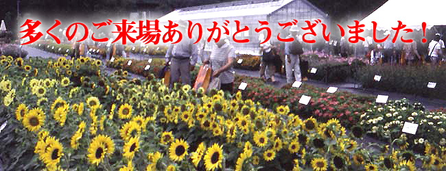 ̂ꂠ肪Ƃ܂I