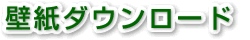 ǎ_E[h