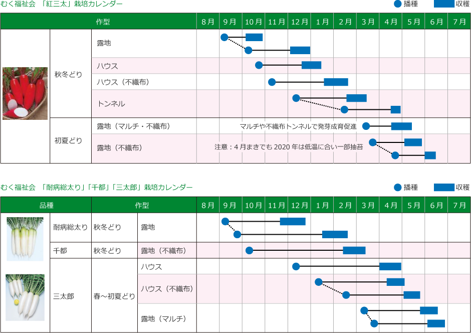 京都府との 農福連携 社会への貢献 タキイ種苗株式会社