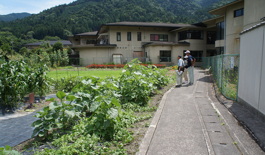 菜園周りの散歩道にはひまわりやサルビアが栽植された。