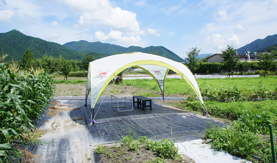 この年から菜園の中央に日よけの休憩所テントが設けられた。