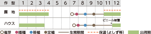 作型