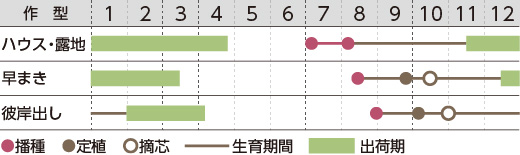 作型