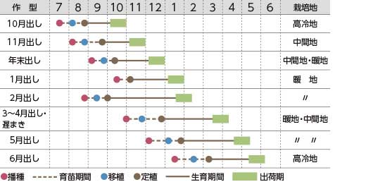 ストック 品種カタログ 調べる タキイ種苗株式会社