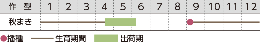 作型