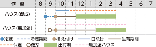 作型