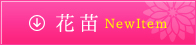ԕcNewItemꗗ