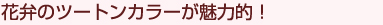 ԕق̃c[gJ[͓II