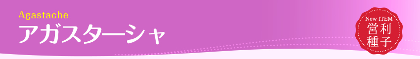 AKX^\V
